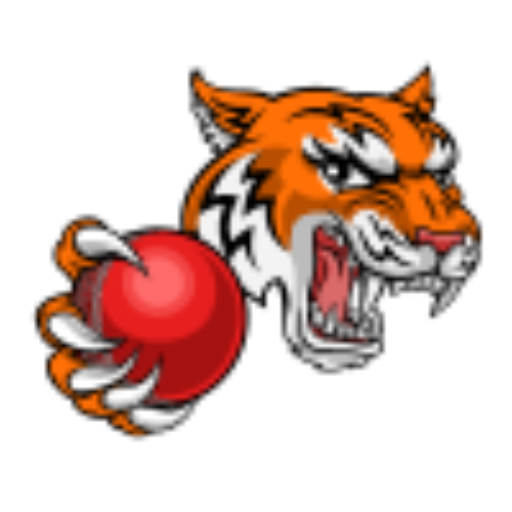 Online Cricket Betting Site